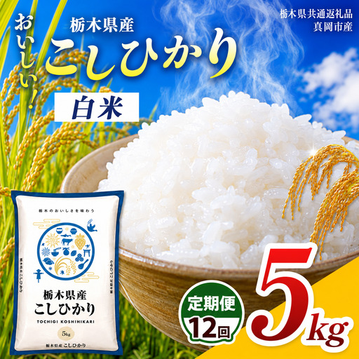【先行予約】【令和8年度産】定期12回 栃木県産 コシヒカリ 5kg | 栃木県 那珂川町 栃木県共通返礼品