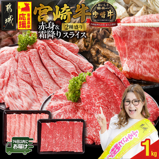 畜産農家応援! 宮崎牛スライス2種1kgセット(霜降り400g 赤身600g)≪みやこんじょ快速便≫〔18-N2-001-1kg-S4A6-R〕