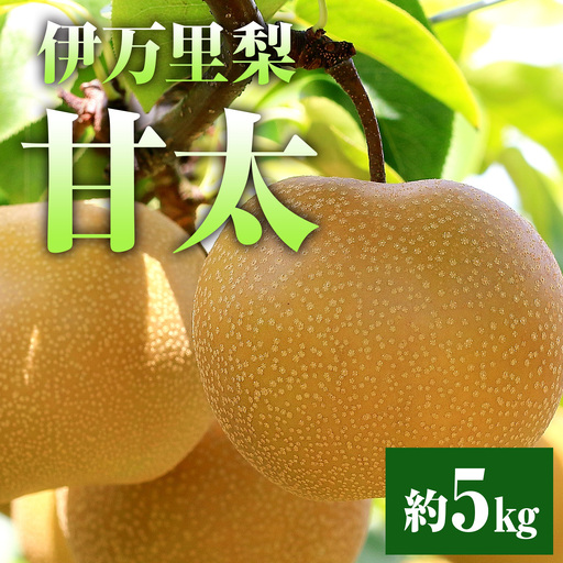 [令和8年産先行予約]伊万里梨「甘太」 約5kg