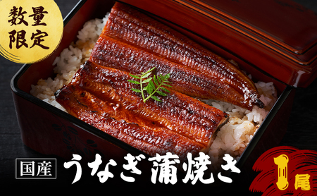 うなぎ 蒲焼 1尾 鰻 冷凍 国産 丑の日 うなぎ
