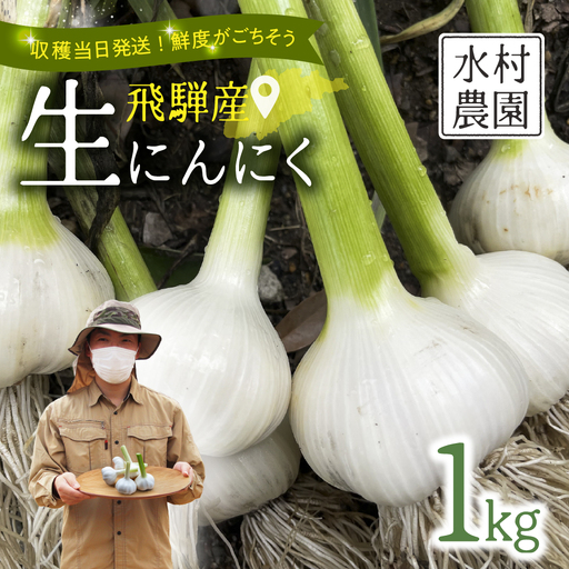 生 にんにく 1kg 飛騨 水村農園