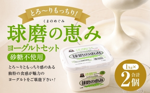 とろ〜り食感!!球磨の恵みヨーグルト 砂糖不使用タイプ 2kg(1kg×2パック) ヨーグルト 砂糖不使用 とろり食感 健康 牛乳 自然豊か 乳製品