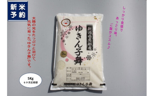 【新米受付・令和8年産米】【6ヶ月定期便】新潟県村上市産　ゆきん子舞 白米 5kg×6ヶ月 1039057N