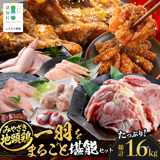みやざき地頭鶏 1羽をまるごと堪能セット 約1.6kg 冷凍|鶏肉 地鶏 モモ ムネ ササミ 手羽先 手羽元 レバー 砂肝 ガラ 1羽まるごと ロースト チキン じとっこ 真空パック 興洋開発株式会社 宮崎県 諸塚村