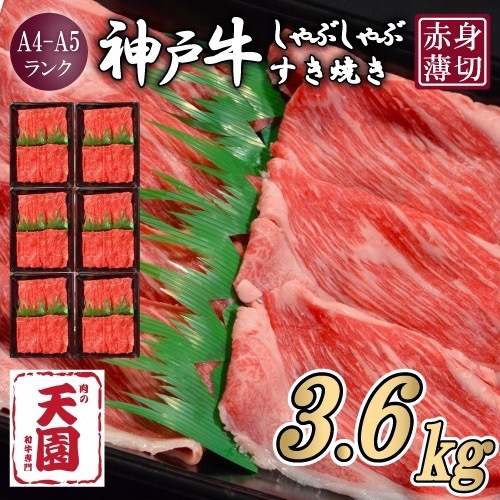 【ふるさと納税 定期便（頒布会）】神戸牛 赤身 モモ しゃぶしゃぶすき焼き1200g×3ヶ月