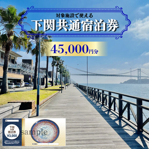 [下関]共通宿泊利用券 45,000円分 宿泊 観光 旅行 IS