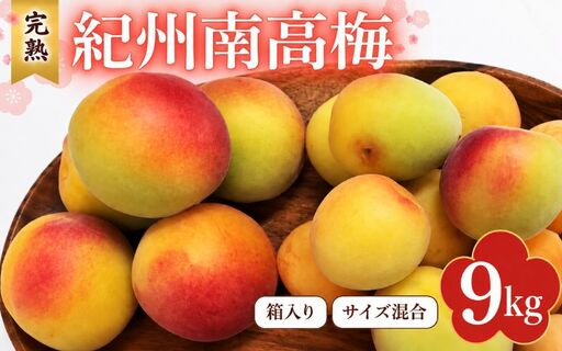 【2027年分先行予約】完熟梅 紀州南高梅 9kg サイズ混合（箱込み）※2027年6月中旬～順次発送予定 / 田辺市 果物 果実 梅 生梅 梅干し うめぼし 梅酒 梅ジュース 梅シロップ 手作り 自家製 新鮮  【sny007-1】