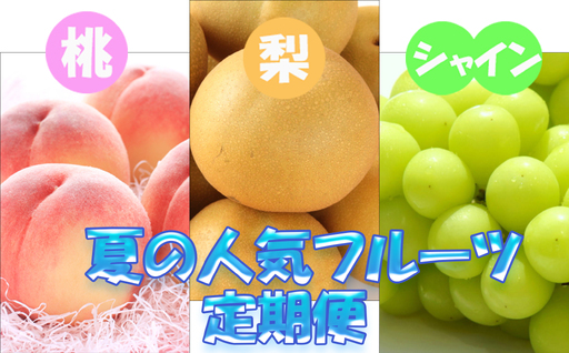 [定期便]定期便全3回 [7月・8月・9月発送] 和歌山の夏の人気フルーツをお届け(桃・梨・シャイン)[tkb429]