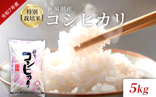米 令和7年産 特別栽培米 新潟県産コシヒカリ（白米）5kg