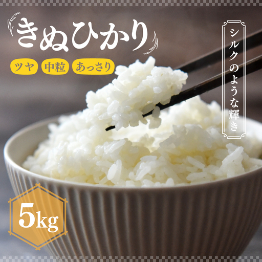 米 R7年産 きぬひかり 5kg 2週間以内発送 | 米