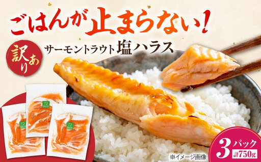 [訳あり]サーモントラウト塩ハラス250g×3パック [AQAJ096]ハラス
