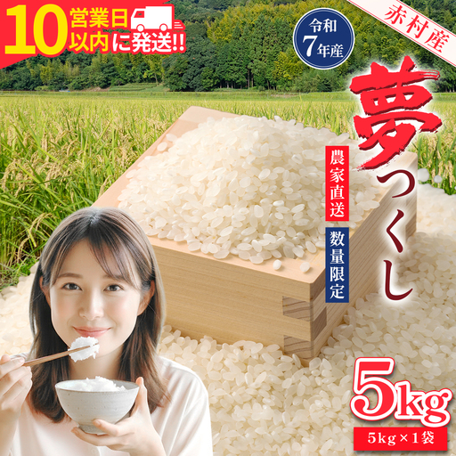 【10営業日以内に発送】 赤村産米 農家直送 【数量限定】 精米 夢つくし 5kg 4U2-S