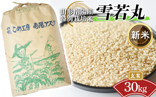 【令和8年産 新米 先行予約】 【金賞受賞農家】 特別栽培米 雪若丸 （玄米） 30kg 《令和8年9月下旬～発送》 『あおきライスファーム』 山形南陽産 米 ご飯 農家直送 山形県 南陽市 [2601-R8A]