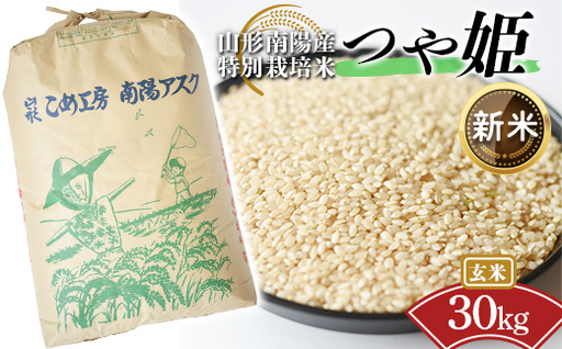【令和8年産 新米 先行予約】 【金賞受賞農家】 特別栽培米 つや姫（玄米）30kg 《令和8年9月下旬～発送》 『あおきライスファーム』 山形南陽産 米 ご飯 農家直送 山形県 南陽市 [2425-R8A]