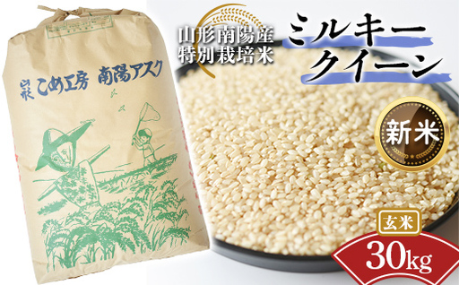 【令和8年産 新米 先行予約】 【金賞受賞農家】 特別栽培米 ミルキークイーン（玄米）30kg 《令和8年9月下旬～発送》 『あおきライスファーム』 山形南陽産 米 ご飯 農家直送 山形県 南陽市 [2424-R8A]