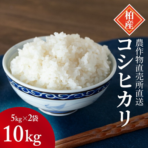 コシヒカリ 千葉県産 精米 コシヒカリ【10kg】