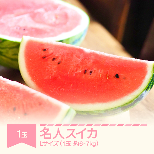 [先行予約]名人スイカ 大玉すいか Lサイズ 1玉 約6~7kg 令和9年産 2027年産 mm-suxlx1