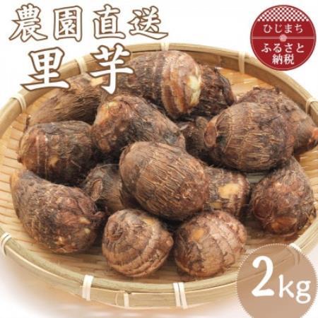 里芋 2kg【1731696】