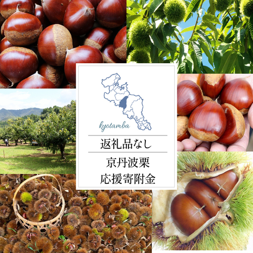[返礼品なし] 京丹波栗 応援寄附金 500000円