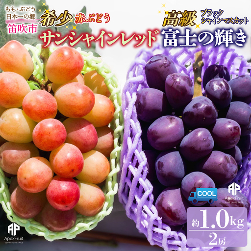 [2026年発送先行予約]笛吹市産 サンシャインレッド × 富士の輝き 食べ比べセット 約1.0kg(2房) 205-018-26y