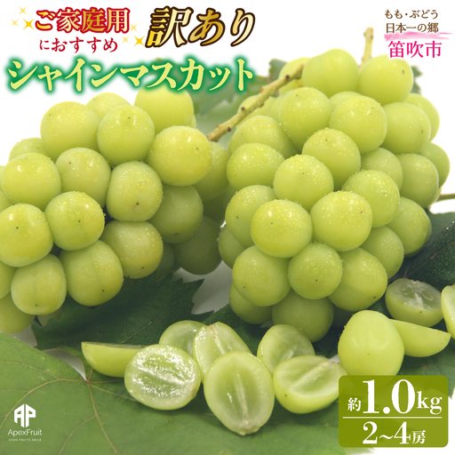 [2026年発送先行予約]笛吹市産 [訳あり]シャインマスカット 約1.0kg(2〜4房) 205-021-26y