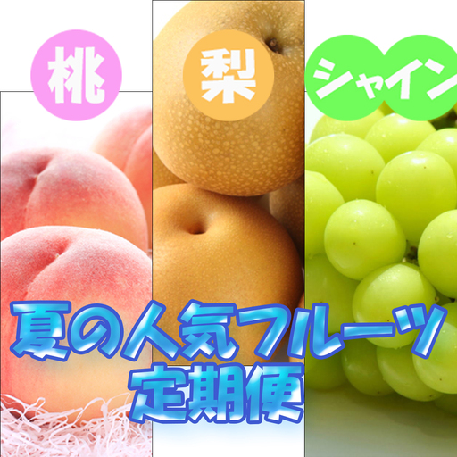 [定期便]定期便全3回 [7月・8月・9月発送] 和歌山の夏の人気フルーツをお届け(桃・梨・シャイン)[tkb429]