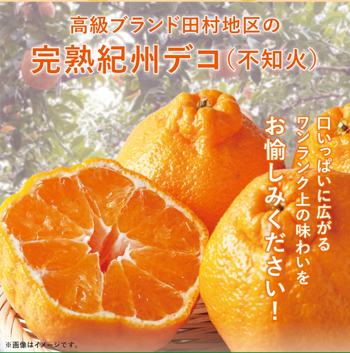高級ブランド田村の完熟紀州デコ(不知火)約8kg　※2027年3月上旬～3月中旬に順次発送予定(お届け日指定不可)【uot867】