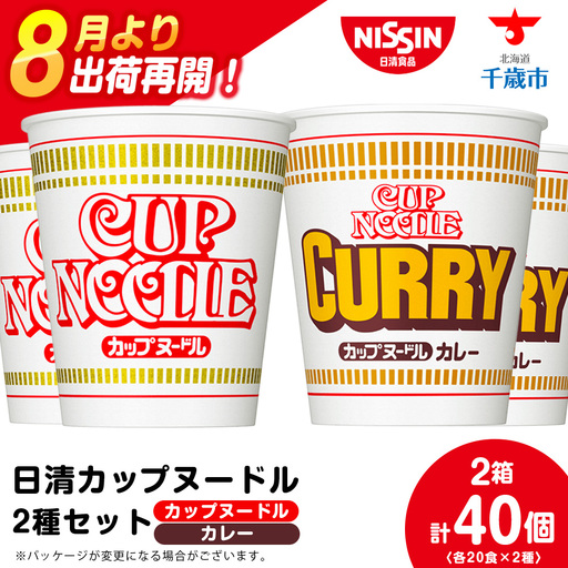 日清 ヌードル2種セット カップヌードル・カレーヌードル各20食