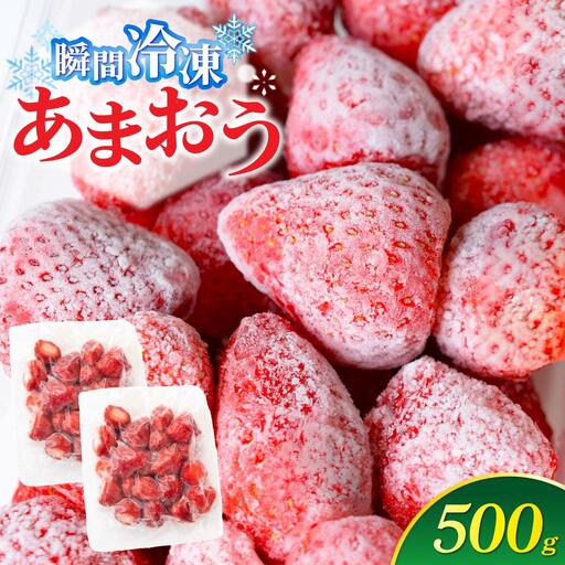  福岡県産 冷凍あまおう500g(250g×2個)