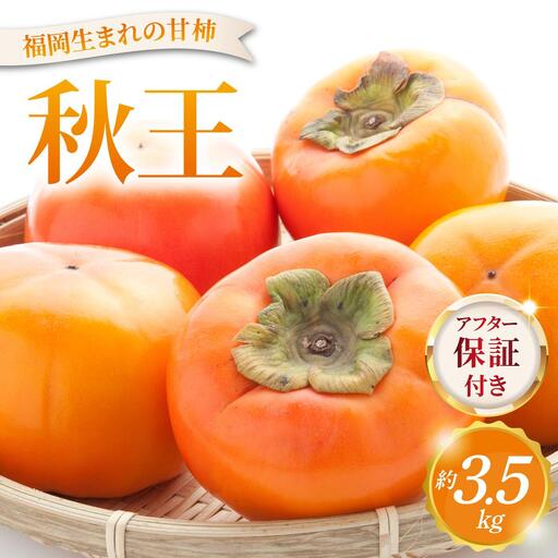  福岡より直送！種がほとんどない新ブランド柿 秋王 約3.5kg（2026年10月以降発送）|甘柿 太秋柿 富有柿 フルーツ くだもの 果物 送料無料 福岡県 那珂川市