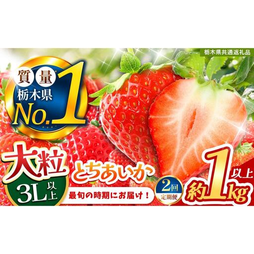 [定期便2回]いちご 2L以上 大粒 とちあいか1kg以上[2027年先行予約] | 苺 イチゴ 栃木県共通返礼品