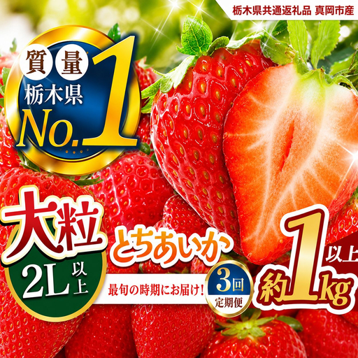 【定期便3回】いちご 2L以上 大粒 とちあいか1kg以上【2027年先行予約】 | 苺 イチゴ 栃木県共通返礼品 栃木県矢板市産