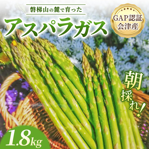 【朝採れ 当日発送】磐梯山の麓で育った アスパラガス 1.8kg （Lサイズ） | 甘い 生産者直送 産地直送 野菜 はんざわエコファーム 猪苗代産 ※2026年4月中旬～10月中旬頃に順次発送予定 ※沖縄・離島への配送不可