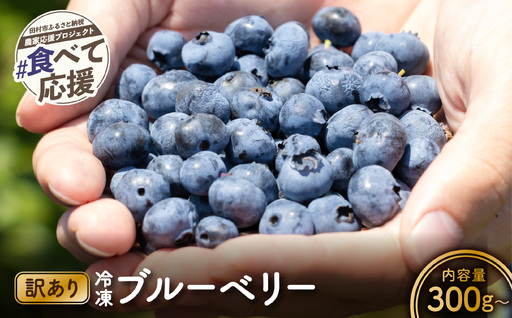 訳あり 冷凍ブルーベリー 500g 福島県 田村市 いずみの森ブルーベリー園