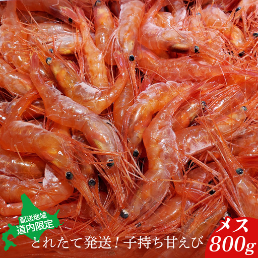 【配送地域・北海道内限定】とれたて発送！子持ち甘えび　メス 800g【06113】