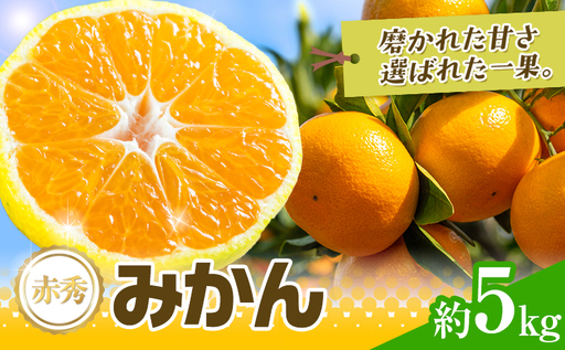 先行予約 赤秀 みかん 旬 柑橘 蜜柑 鶴田農園 約5kg 《9月中旬-1月下旬頃出荷》極早生 早生 中生 晩生 フルーツ 果物 秋 旬 熊本県 荒尾市産 贈答 ギフト オレンジ 人気 おすすめ