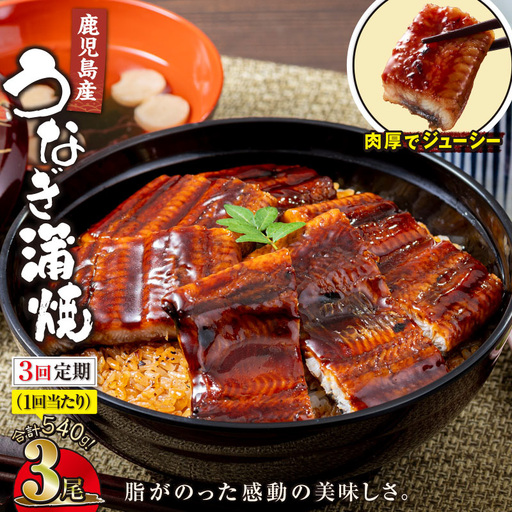 【 全3回 定期便 】 鹿児島産 うなぎ 蒲焼 180g×3尾 清らかな 地下水 育ち！ KN021-T37 ウナギ 鰻 冷凍