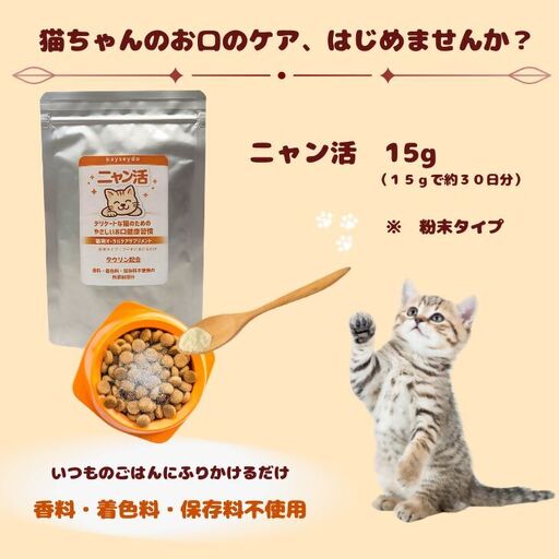 ニャン活　15g×1個