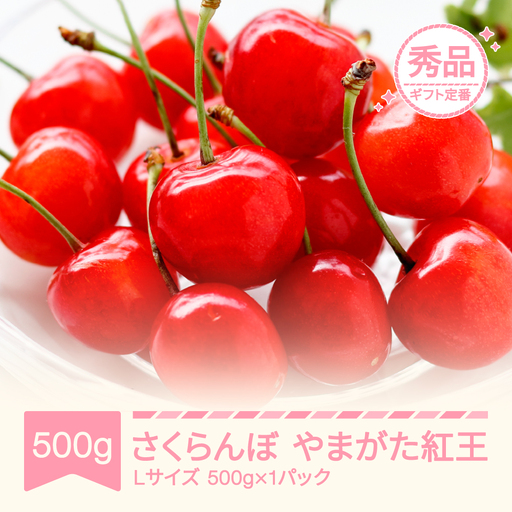 先行予約 さくらんぼ やまがた紅王  Lサイズ 500g 令和9年産 sb-ybslx500