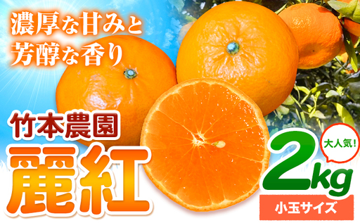みかん 麗紅 2kg 小玉サイズ 麗紅