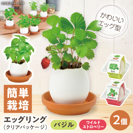 エッグリング クリアパッケージ 2個（バジル、ワイルドストロベリー） / 栽培キット 園芸 ハーブ / 瀬戸市 / 聖新陶芸[BBEK002]