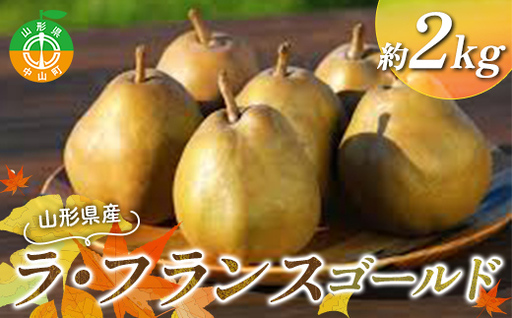 《2026年11月発送開始》山形県産ラ・フランス ゴールド 特秀品 約2kg 玉数おまかせ ラフランス 果物 秋果実 フルーツ 洋ナシ 洋なし くだもの F4A-1032