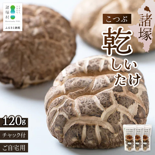 【世界初CoC認証取得！】宮崎県諸塚村産 乾しいたけ こつぶ 40g×3P 計120g 常温｜干ししいたけ どんこ 椎茸 冬菇 一口サイズ 酢漬け 手まり寿司 天ぷら 原木栽培 家庭用 もろっこはうす MO-24