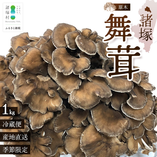 【先行予約】宮崎県諸塚村産 原木舞茸 1kg 数量限定［2026年10月下旬～11月中旬ごろにお届け］冷蔵｜マイタケ きのこ キノコ 原木まいたけ 産地直送 秋の味覚 もろっこはうす 宮崎県 諸塚村 MO-29
