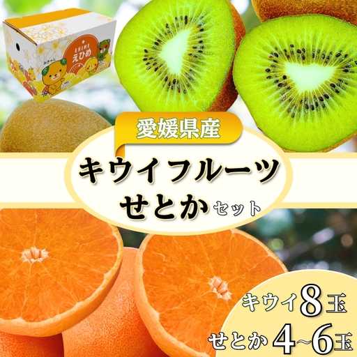 [2027年先行予約]みかん キウイ 愛媛 せとかとグリーンキウイのセット せとか グリーンキウイ [2027年2月中旬より発送予定] 人気 数量限定 柑橘 伊予市|