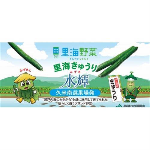 久米南町産　里海きゅうり 約3kg【配送不可地域：離島・北海道・沖縄県】【1727201】