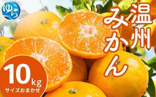 温州みかん 10kg (サイズおまかせ) ※2026年12月中旬～2027年1月下旬に順次発送予定 ※北海道・沖縄・離島配送不可 / ミカン 蜜柑 フルーツ 果物 柑橘 果実 由良町 国産 産地直送 和歌山県 【eiw004-r-10A】