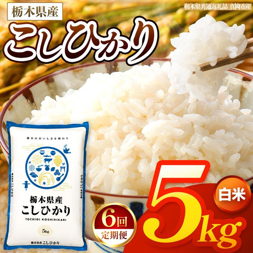 【令和8年産 新米】 【定期便6回】栃木県産 お米 こしひかり　（白米） 5kg 【2026年秋以降発送 】 |  栃木県 矢板市 【栃木県共通返礼品 真岡市産】