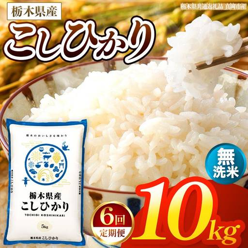 【令和8年産 新米】 【定期便6回】栃木県産 お米 こしひかり　（無洗米） 10kg 【2026年秋以降発送】 |  栃木県 矢板市 【栃木県共通返礼品 真岡市産】