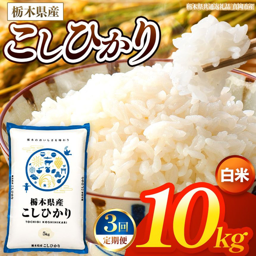 【令和8年産 新米】 【定期便3回】栃木県産 お米 こしひかり　（白米） 10kg 【2026年秋以降発送 】 |  栃木県 矢板市 【栃木県共通返礼品 真岡市産】